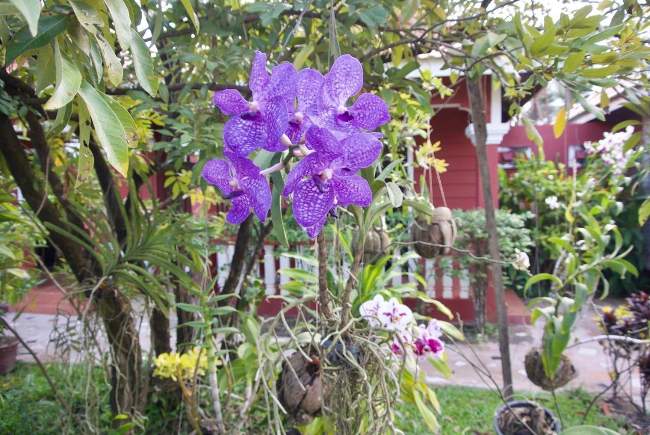 Phoumrumduol Bungalow Kampot Luaran gambar